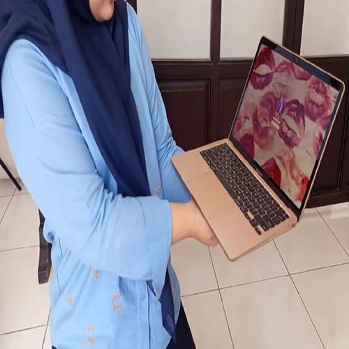 macbook 500 macbook 500